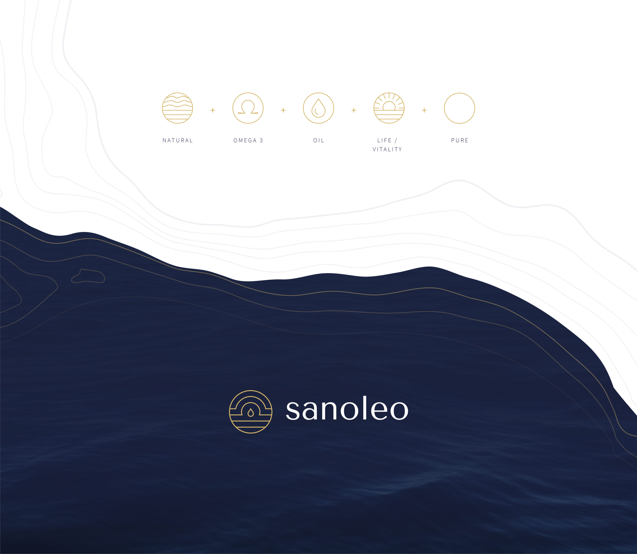 Création des icônes pour le site internet de Sanoleo par Atelier Design