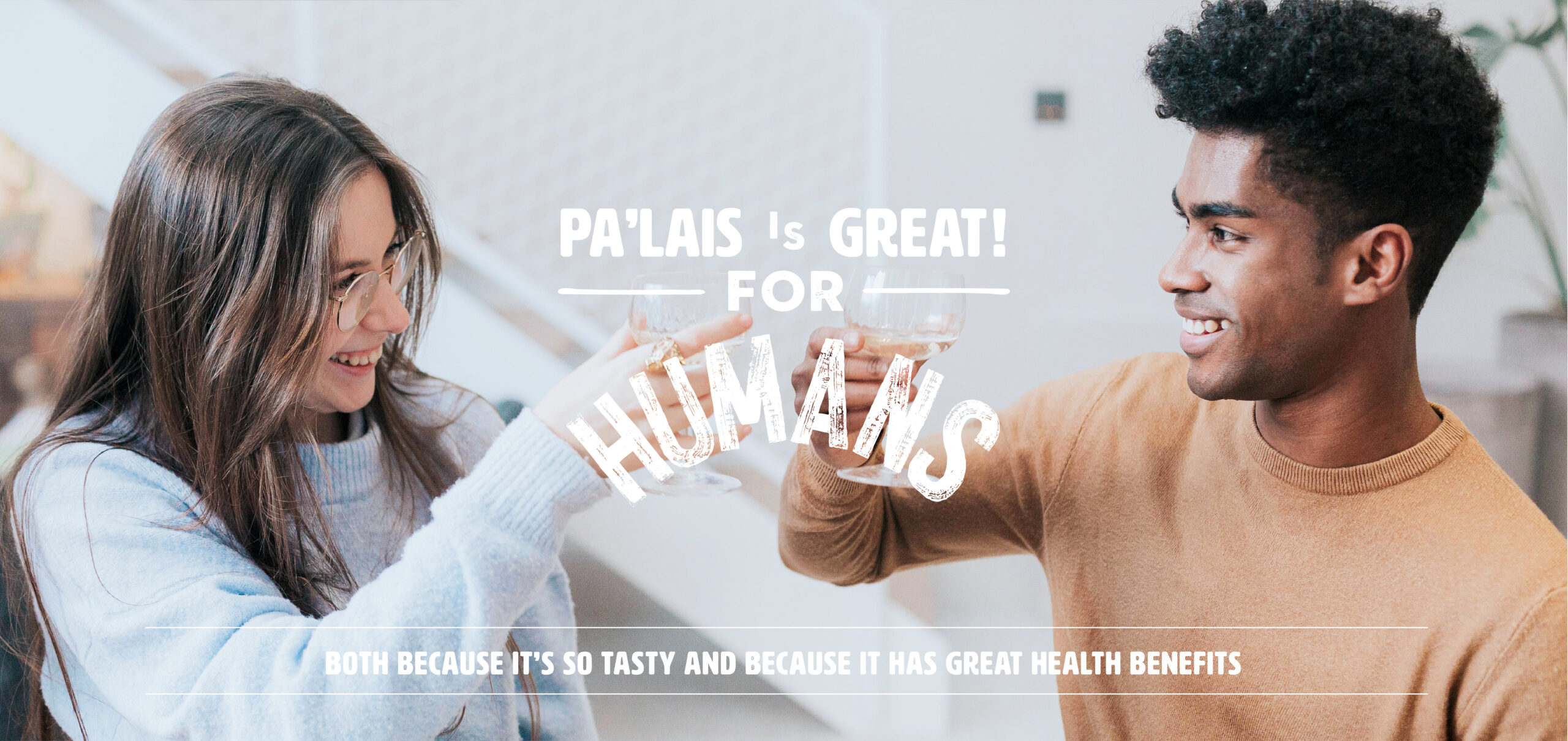 Example of visuals for Pa'lais' online visual identity by our Brussels communications agency